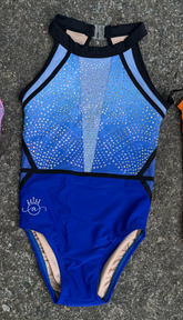 Believe Midnight Bloom Leotard - IN STOCK in limited sizes
